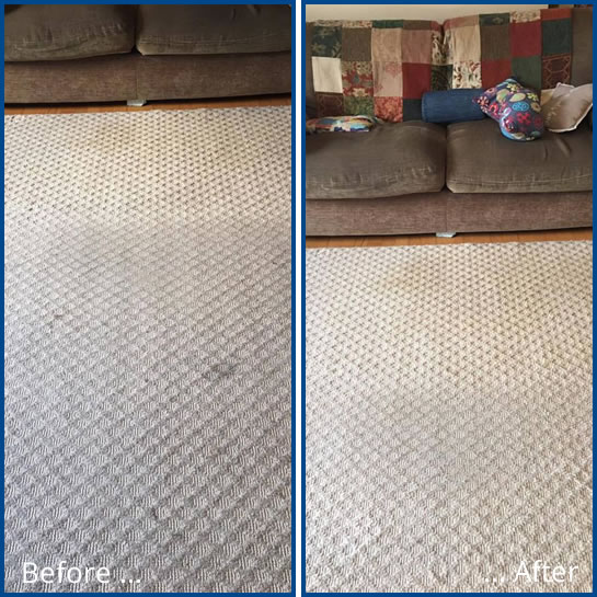 Dry carpet and upholstery cleaning