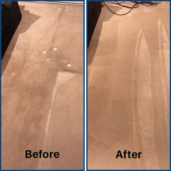 Dry carpet and upholstery cleaning